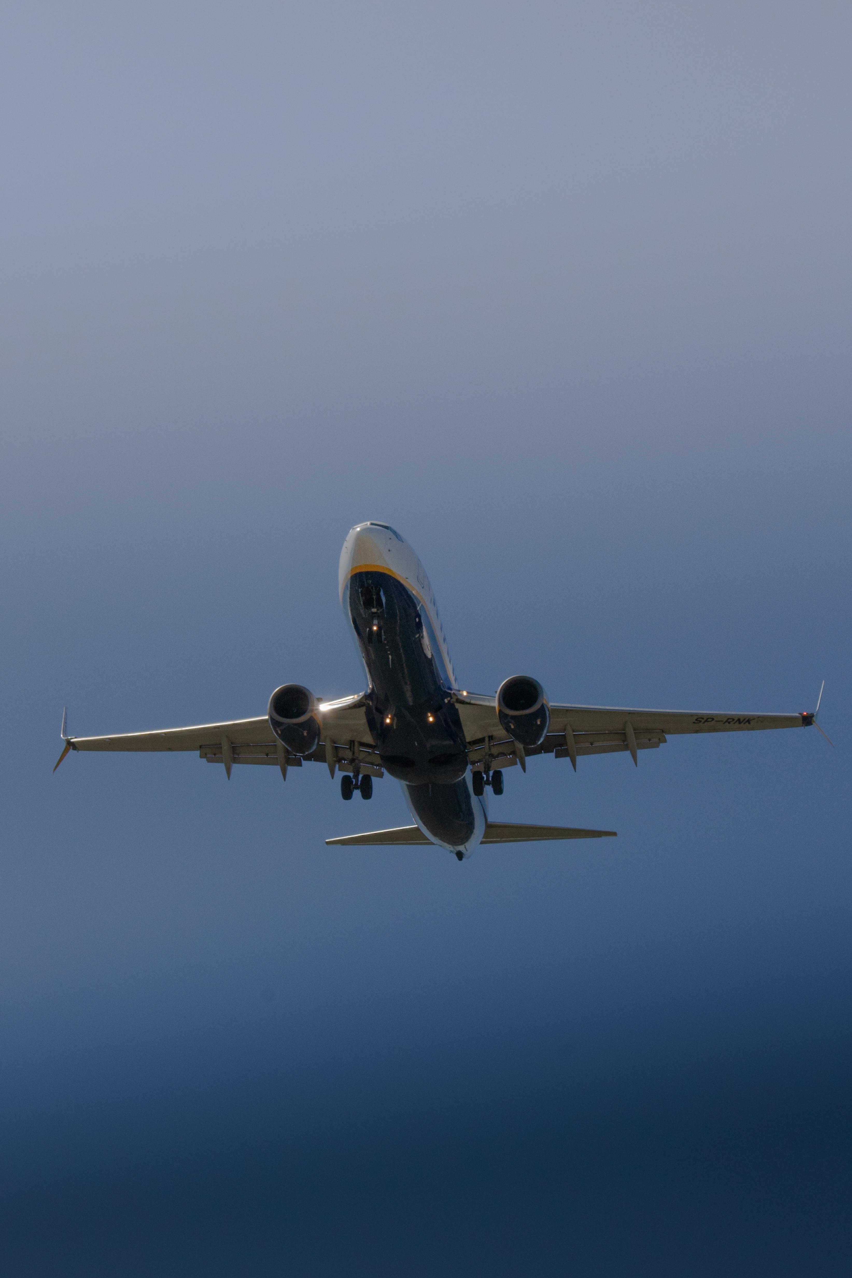 Cloud tops lit by low sun, seen from an aircraft